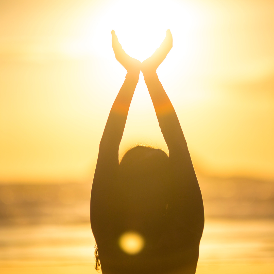 human design Danmark