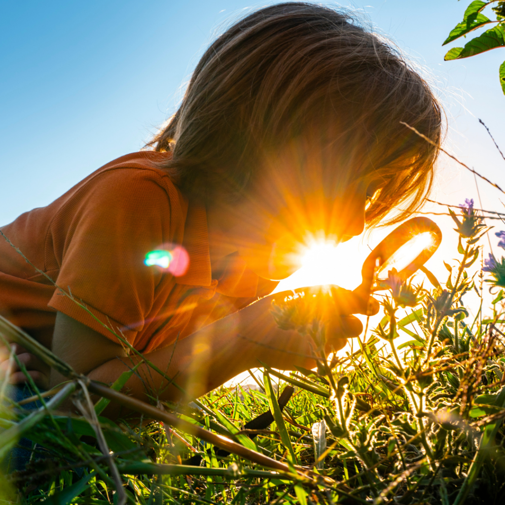 Bachs blomsterremedier fremtidens medicin findes i naturen