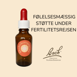 følelsesmæssig støtte under fertilitetsforløb