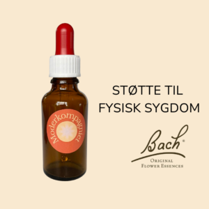 Bachs til fysisk sygdom