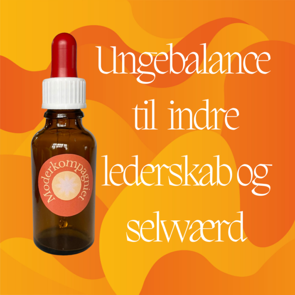 ungebalance til indre lederskab og selvværd