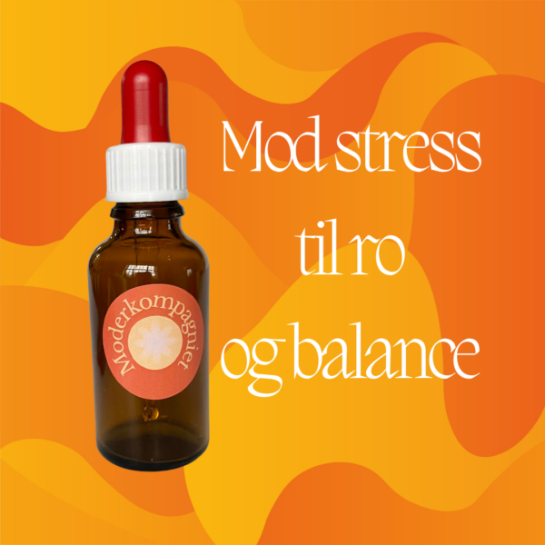Bachs blomsterterapi mod stress