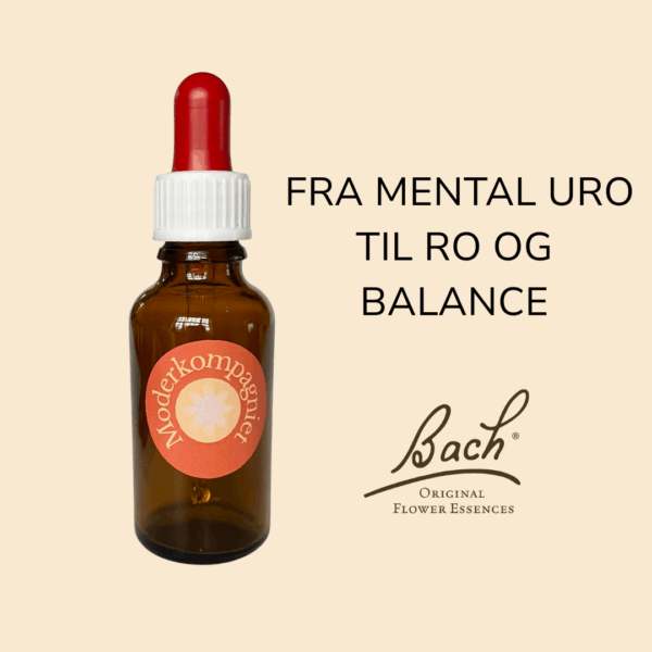 fra mental uro til ro og balance