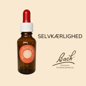 Bachs blomsterterapi selvkærlighed