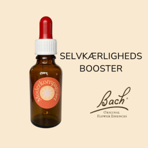 selvkærlighedsbooster Bachs blomster
