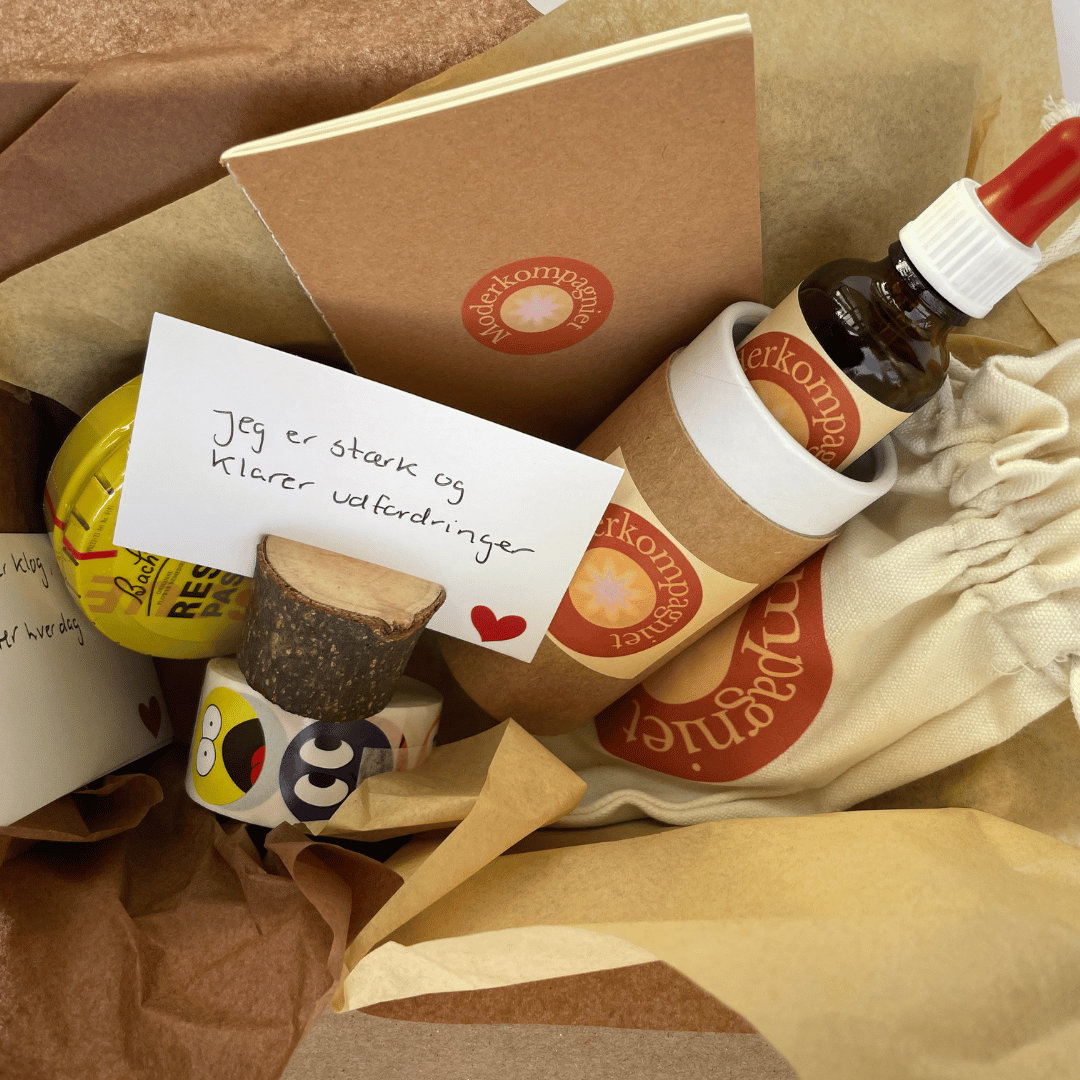 Skoletrivseloglæringsglæde-bachs blomster