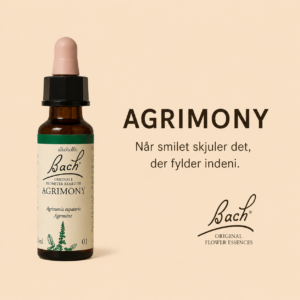 Agrimony / Agermåne – Originalt Bach-blomsterremedie