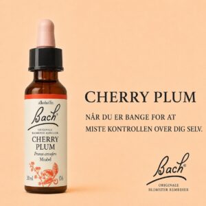 Cherry Plum / Kirsebærblomme – Originalt Bach-blomsterremedie
