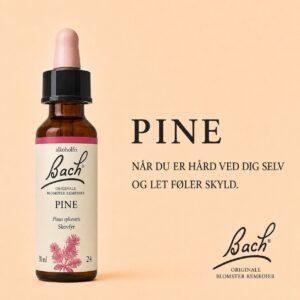 Pine / Skovfyr – Originalt Bach-blomsterremedie