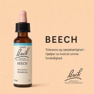 Beech / Bøg – Originalt Bach-blomsterremedie