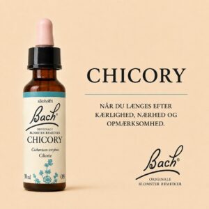 Chicory / Cikorie – Originalt Bach-blomsterremedie
