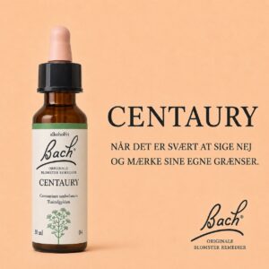 Centaury / Tusindgylden – Originalt Bach-blomsterremedie
