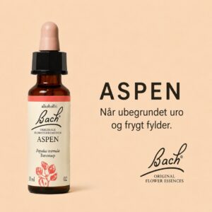 Aspen / Bævreasp – Originalt Bach-blomsterremedie