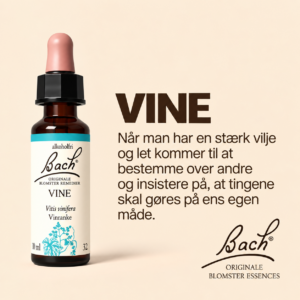 Vine / Vinranke – Originalt Bach Blomsterremedie