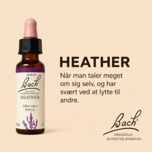 Heather / Hedelyng – Originalt Bach Blomsterremedie