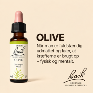 Olive / Oliven – Originalt Bach Blomsterremedie