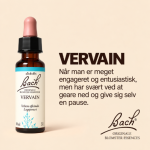 Vervain / Lægejernurt – Originalt Bach Blomsterremedie