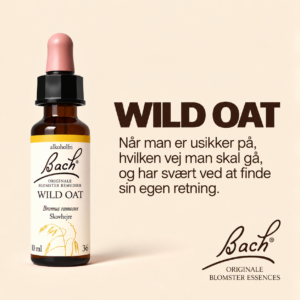 Wild Oat / Skovhejre – Originalt Bach Blomsterremedie