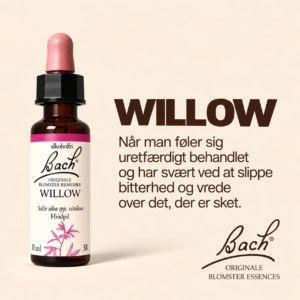 Willow / Hvidpil – Originalt Bach Blomsterremedie