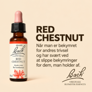 Red Chestnut / Rød hestekastanje – Originalt Bach Blomsterremedie