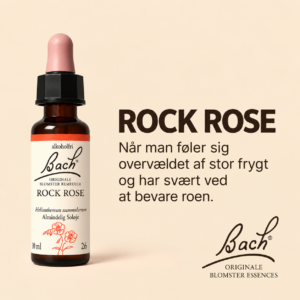 Rock Rose / Almindelig soløje – Originalt Bach Blomsterremedie