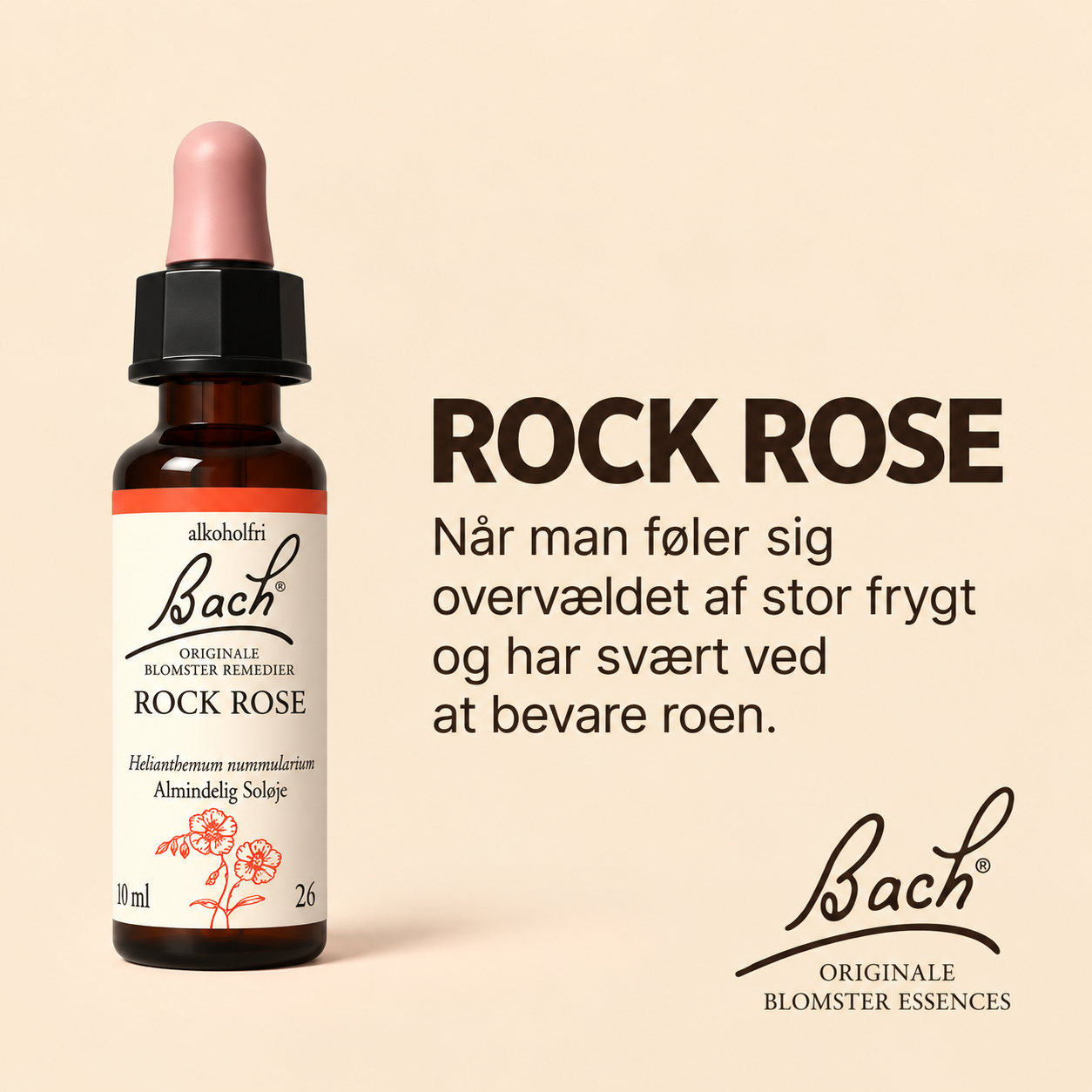 Rock Rose / Almindelig soløje – Originalt Bach Blomsterremedie