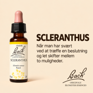 Scleranthus / Knavel – Originalt Bach Blomsterremedie