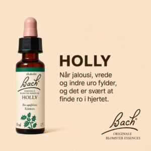 Holly / Kristtorn – Originalt Bach Blomsterre