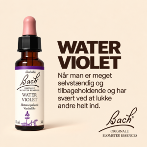 Water Violet / Vandrellike – Originalt Bach Blomsterremedie