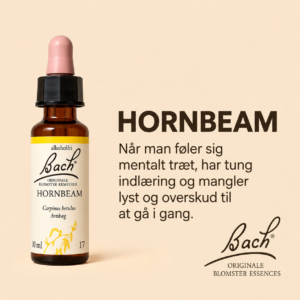 Hornbeam / Avnbøg – Originalt Bach Blomsterremedie