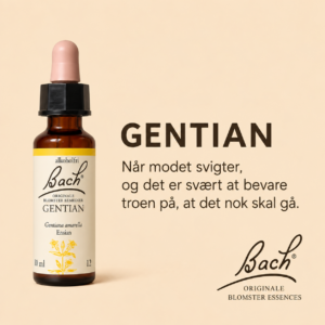 Gentian / Ensian – Originalt Bach Blomsterremedie