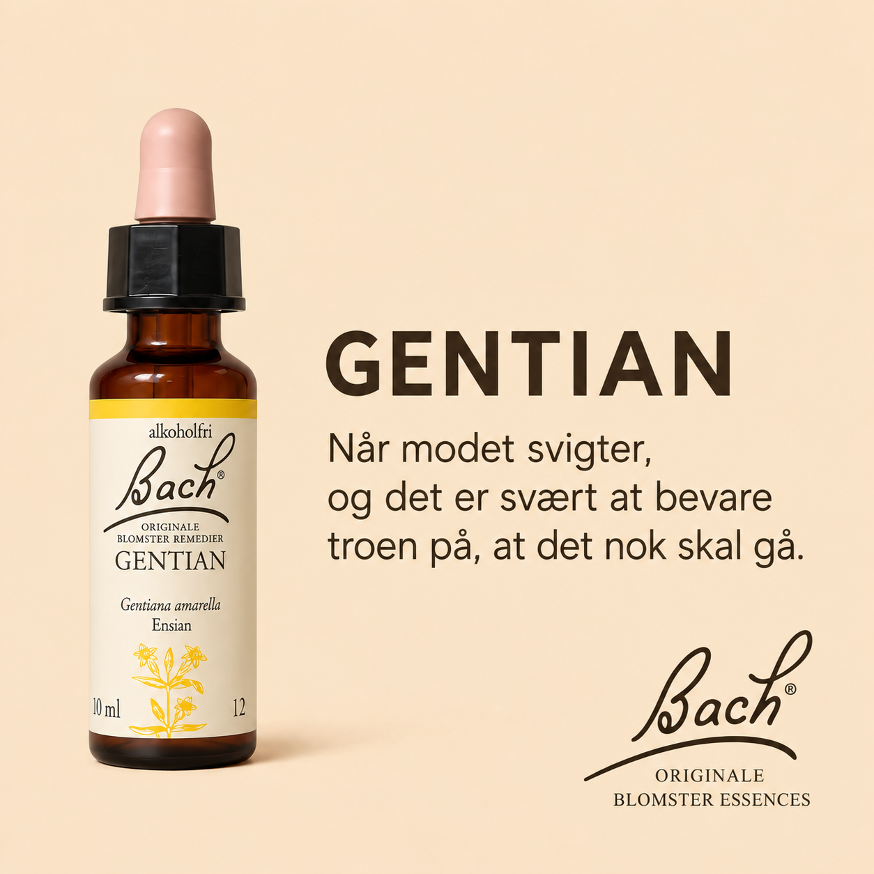 Gentian / Ensian – Originalt Bach Blomsterremedie