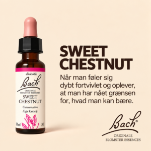Sweet Chestnut / Ægte kastanje – Originalt Bach Blomsterremedie