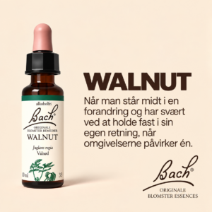 Walnut / Valnød – Originalt Bach Blomsterremedie
